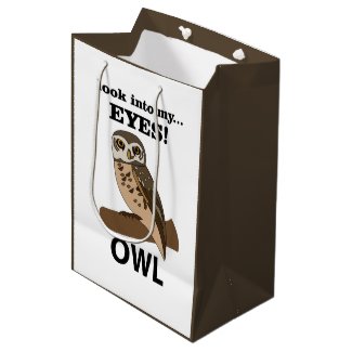 Owl Look Into My Eyes Owl