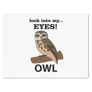 Owl Look Into My Eyes Owl