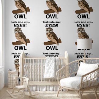 Owl Look Into My Eyes Owl