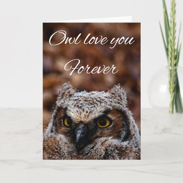 Owl love you forever thank you card (Front)
