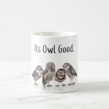 Owl Lover Mug - Its OWL Good - Funny Mug