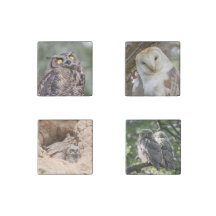 Owl Lovers Magnet Set