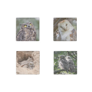 Owl Lovers Magnet Set