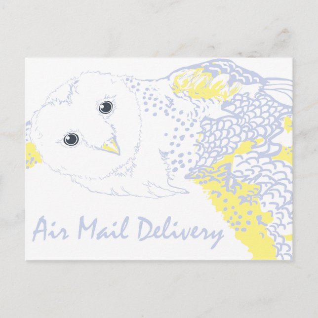 Owl mail delivery- Hogwarts inspired Holiday Postcard (Front)