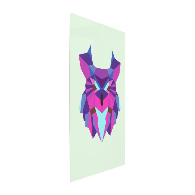Owl Metal Print (3/4)