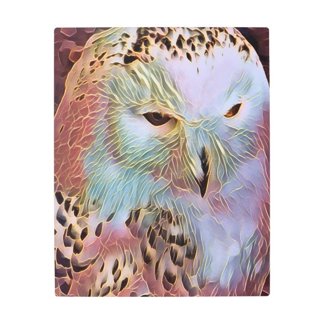 OWL METAL PRINT (Front)