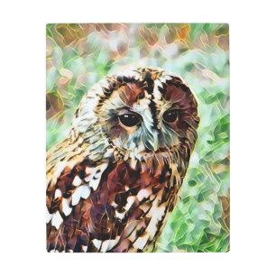 OWL METAL PRINT