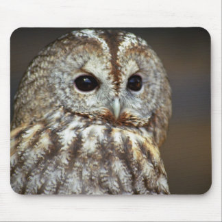 Owl Mouse Pad