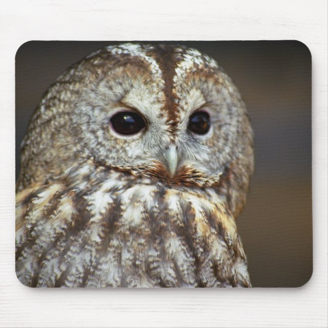 Owl Mouse Pad (Front)