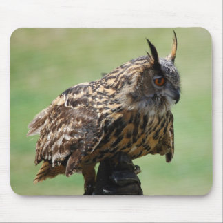 Owl Mousepad