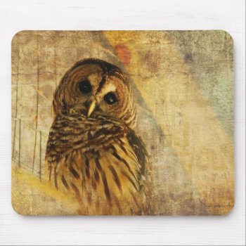 Owl Mousepad - Barred Owl by LoisBryan at Zazzle