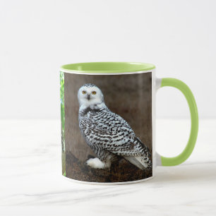 OWL MUG