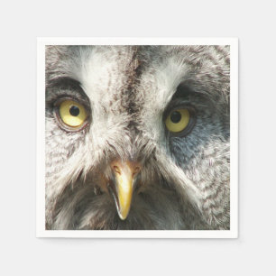 Owl Napkins