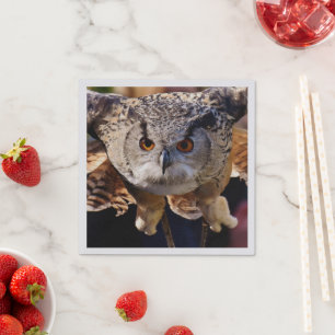 Owl Napkins