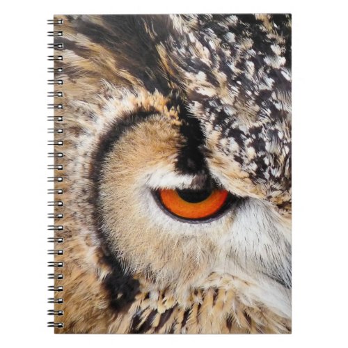 OWL NOTEBOOK