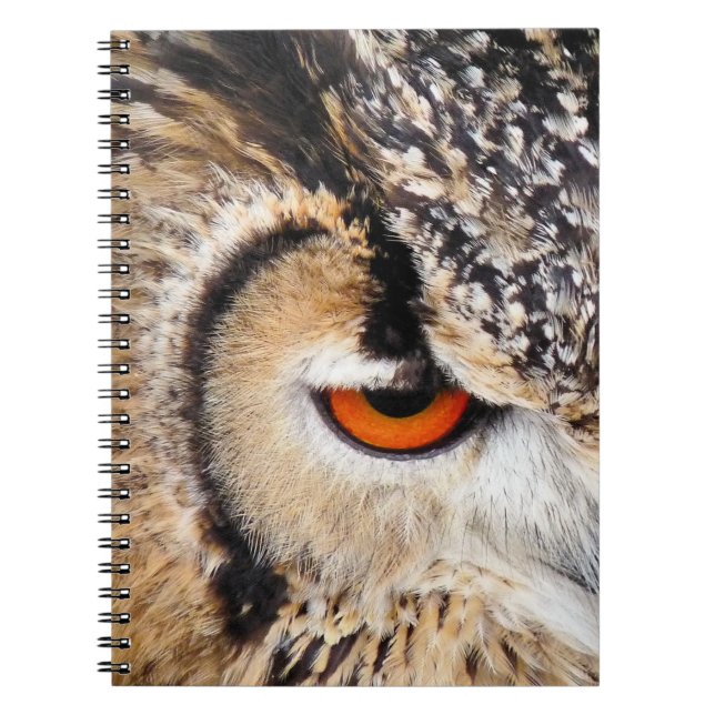 OWL NOTEBOOK (Front)