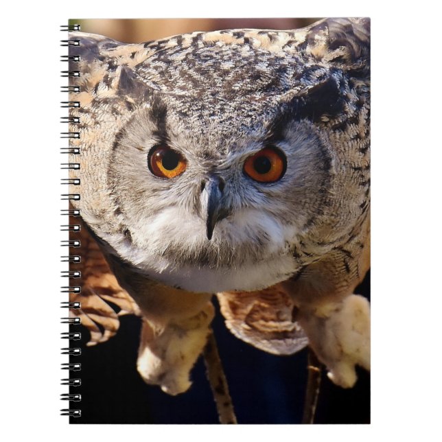 Owl Notebook (Front)