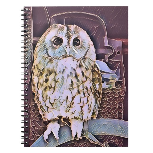 OWL  NOTEBOOK (Front)