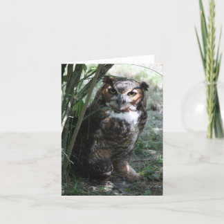 Owl Notecard