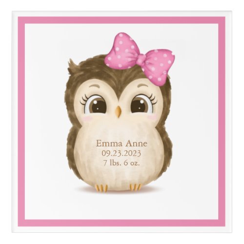 Owl Nursery Birth Stats Girly Keepsake Watercolor Acrylic Print