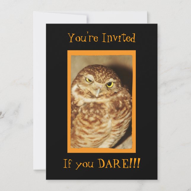 Owl of a Good Time Black Halloween Invitation (Front)