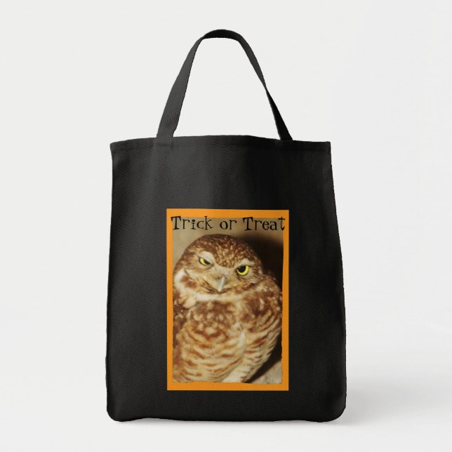 Owl of a Good Time Trick or Treat Halloween Bag (Front)