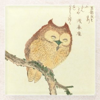 Owl on a branch Japanese Fine Art Glass Coaster