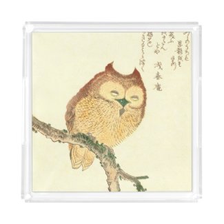 Owl on a branch - Japanese Fine Art Perfume Tray