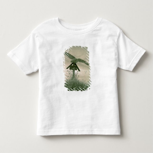 Owl on a Grave, 1836-7 Toddler T-shirt (Front)