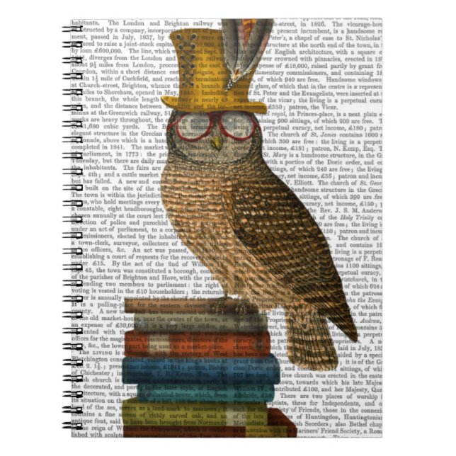Owl On Books (Front)