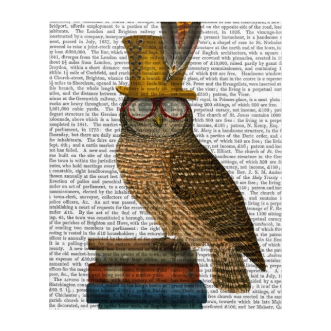 Owl On Books Acrylic Print (Front)