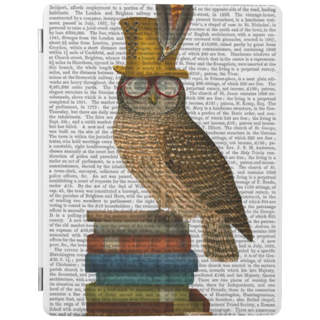 Owl On Books iPad Air Cover (Front)