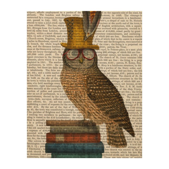 Owl On Books Wood Wall Art (Front)