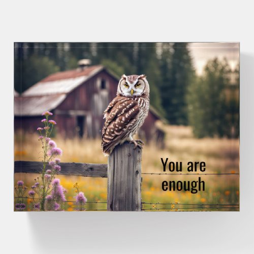 Owl On Fence Post With Quote Paperweight