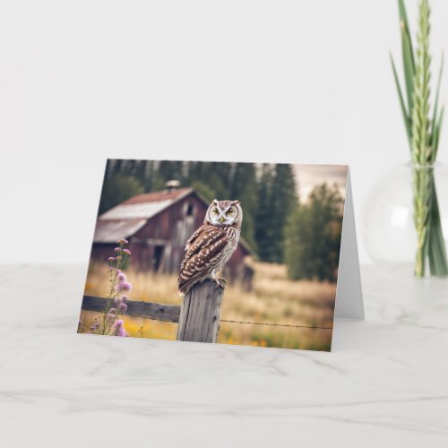 Owl On Wooden Fence Post Card