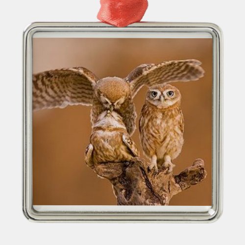 OWL ORNAMENT