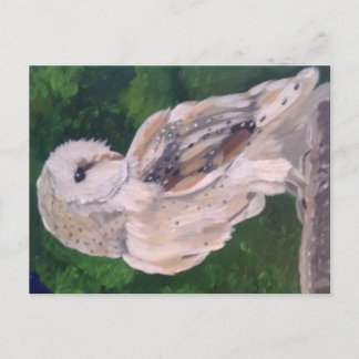 Owl painting on postcard