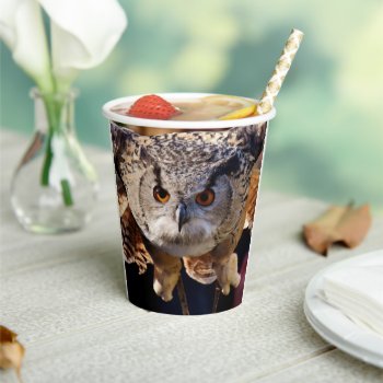Owl Paper Cups by MarblesPictures at Zazzle
