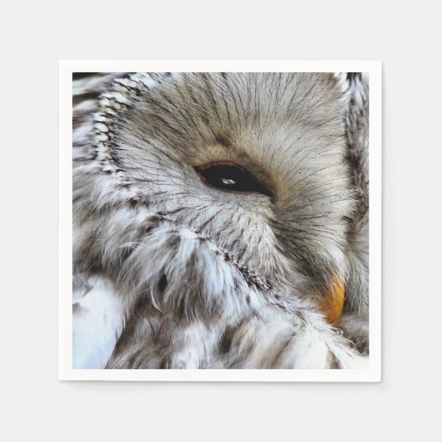 OWL PAPER NAPKINS (Front)