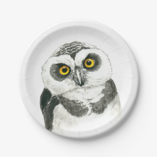 Owl Paper Plates
