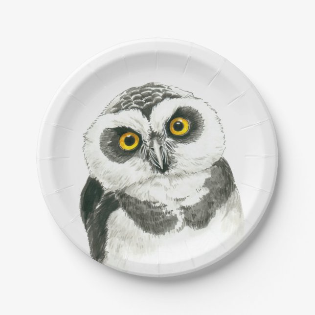 Owl Paper Plates (Front)