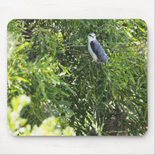 Owl perching on a tree mouse pad
