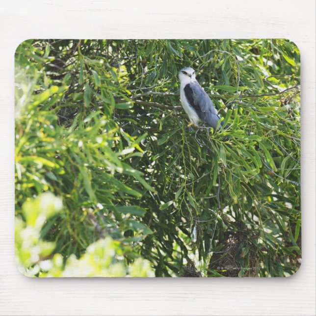 Owl perching on a tree mouse pad (Front)