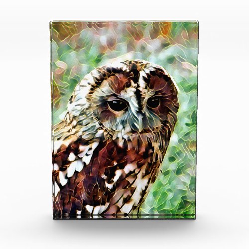 OWL PHOTO BLOCK