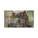 Owl Photo Business Card