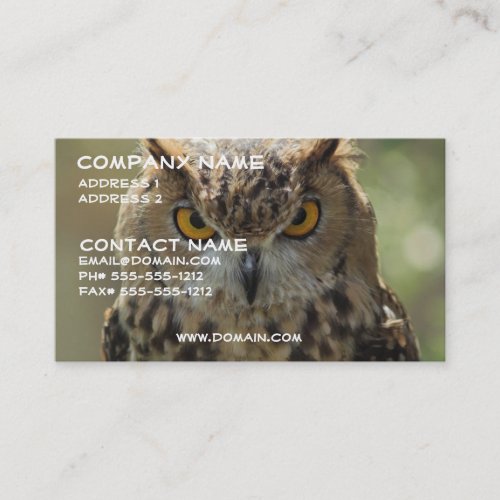 Owl Photo Business Card
