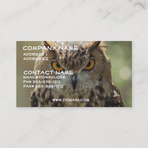 Customizable Owl Photo Business Card