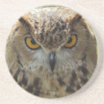 Owl Photo Coasters