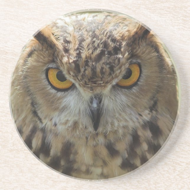Owl Photo Coasters (Front)