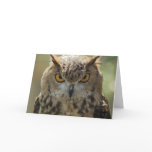 Owl Photo Greeting Card